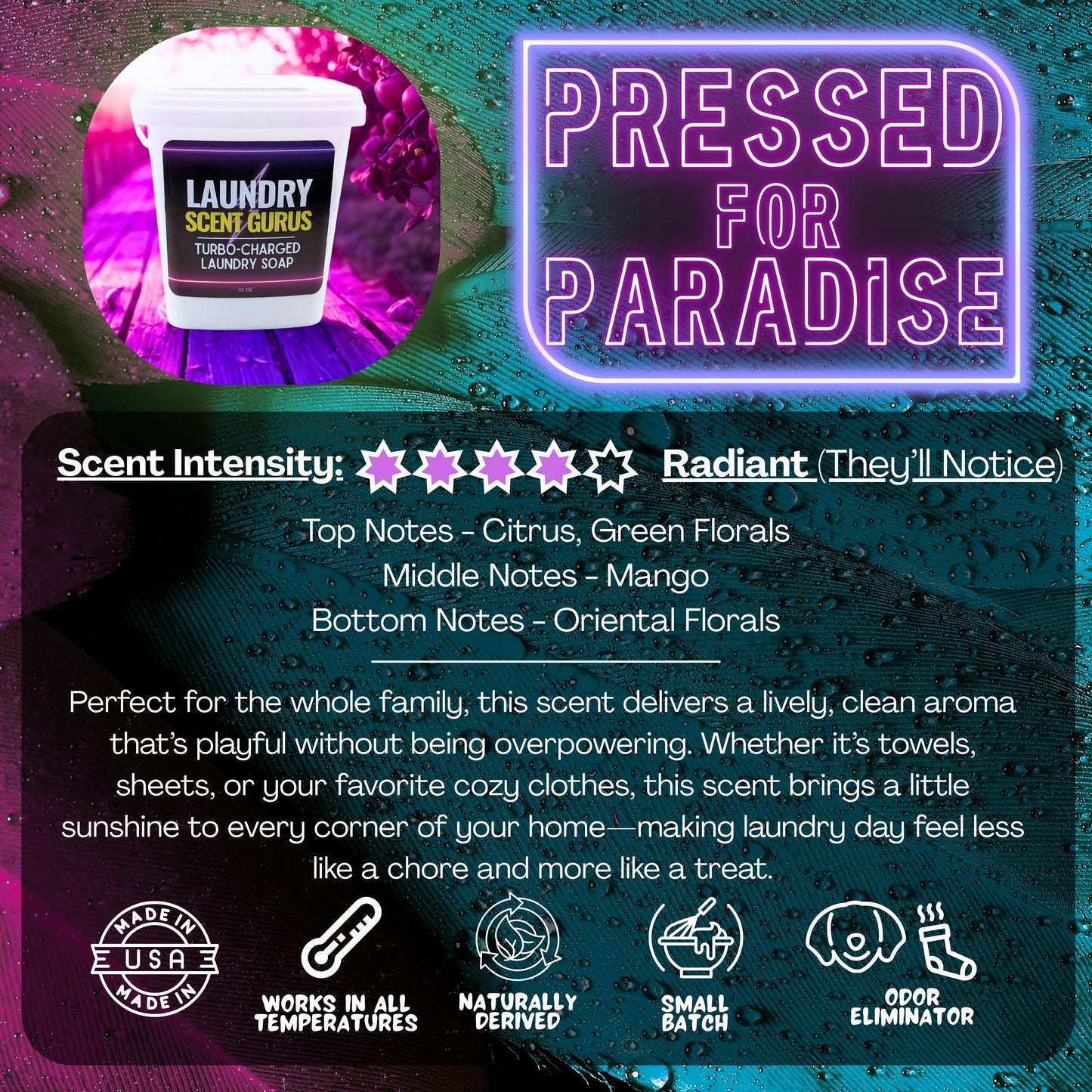 Laundry Scent Gurus Soap 'Pressed for Paradise' laundry product with product image and features.
