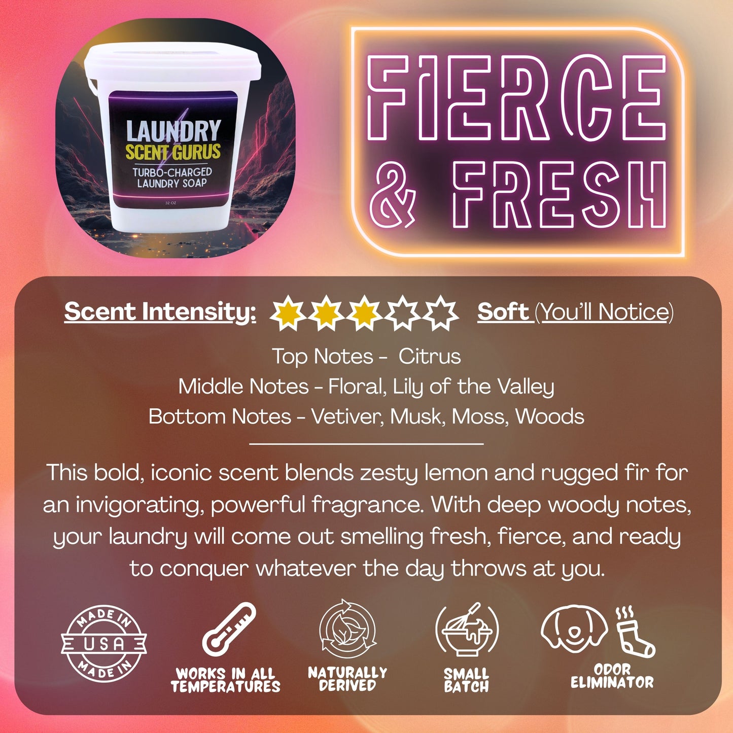 Laundry Scent Gurus Product packaging with 'Fierce & Fresh' branding and laundry detergent information.
