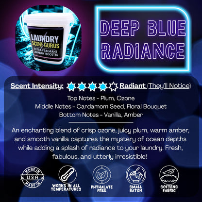 Laundry Scent Gurus scent booster product details with blue background