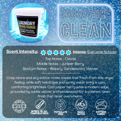 Product packaging with Laundry Scents Gurus 'Signature Clean' booster and scent information on a blue background.