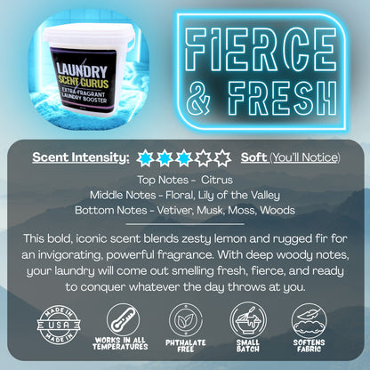 Laundry Scent Gurus Fierce & Fresh Product packaging with branding and product details on a blue and gray gradient background