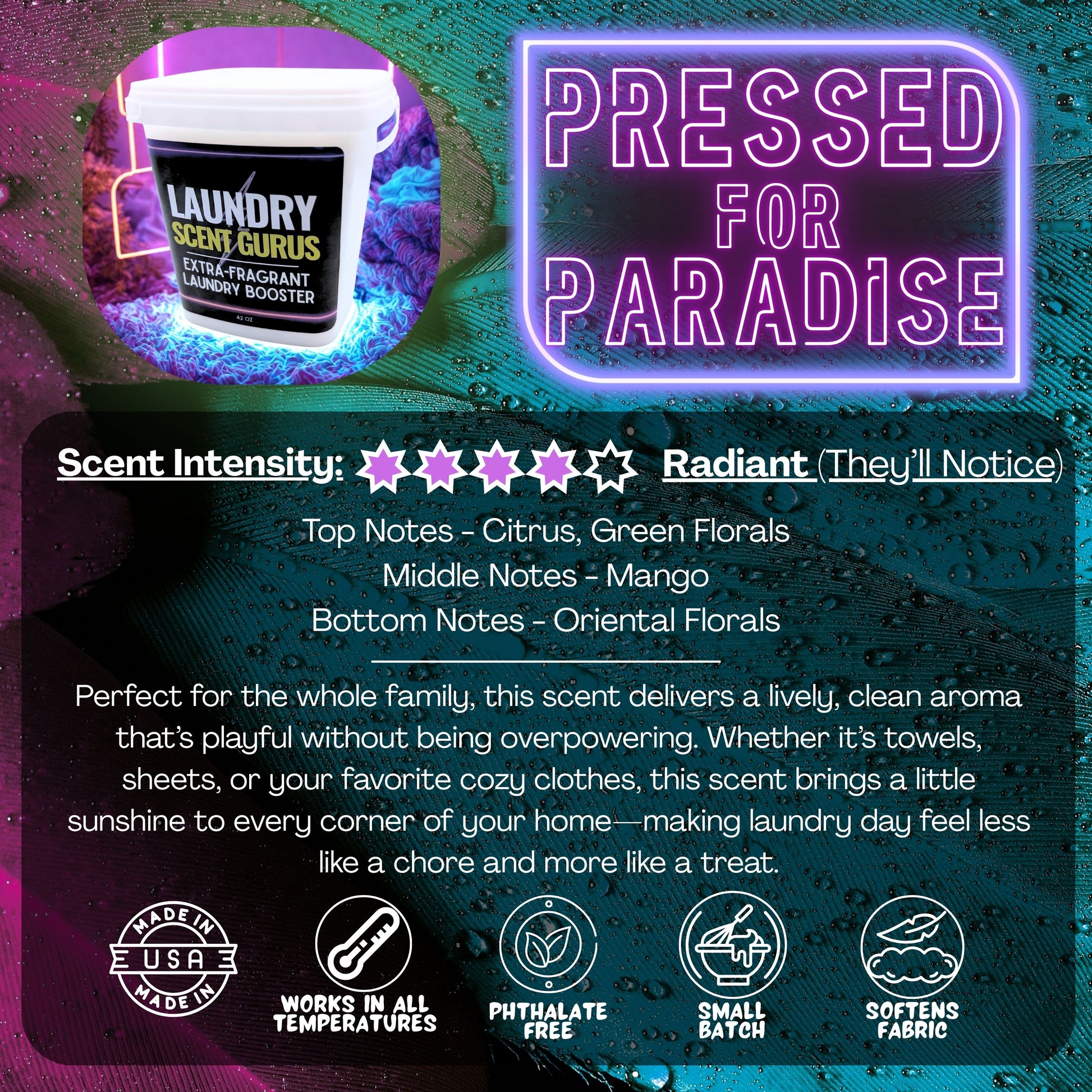 Product packaging for Laundry Scent Gurus 'Pressed for Paradise' with branding and product details on a colorful background.